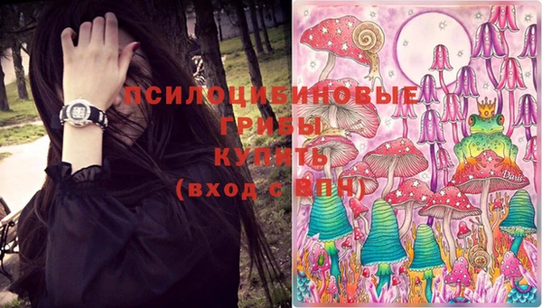 бошки Алексин