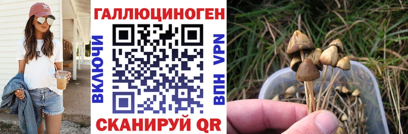 Купить  Тетюши  Псилоцибиновые грибы прущие грибы 